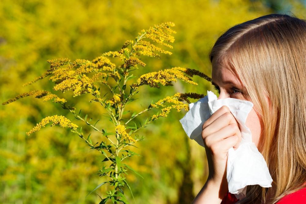 Как проявляется аллергия на цветение. Пыльца растений поллиноз. Амброзия поллиноз. Аллергия на пыльцу.