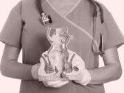 Способы избавления от геморроя