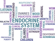 Польза Омега 3 для щитовидной железы