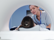 МРТ: что это такое, показания и преимущества метода