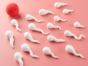 Не только в женщинах дело: диагноз «мужское бесплодие»