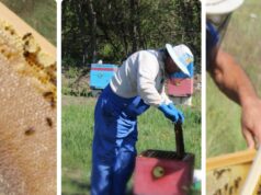 Натуральные продукты: преимущества и выбор интернет-магазина