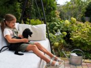 Товары для дачи и отдыха: практичный подход к выбору